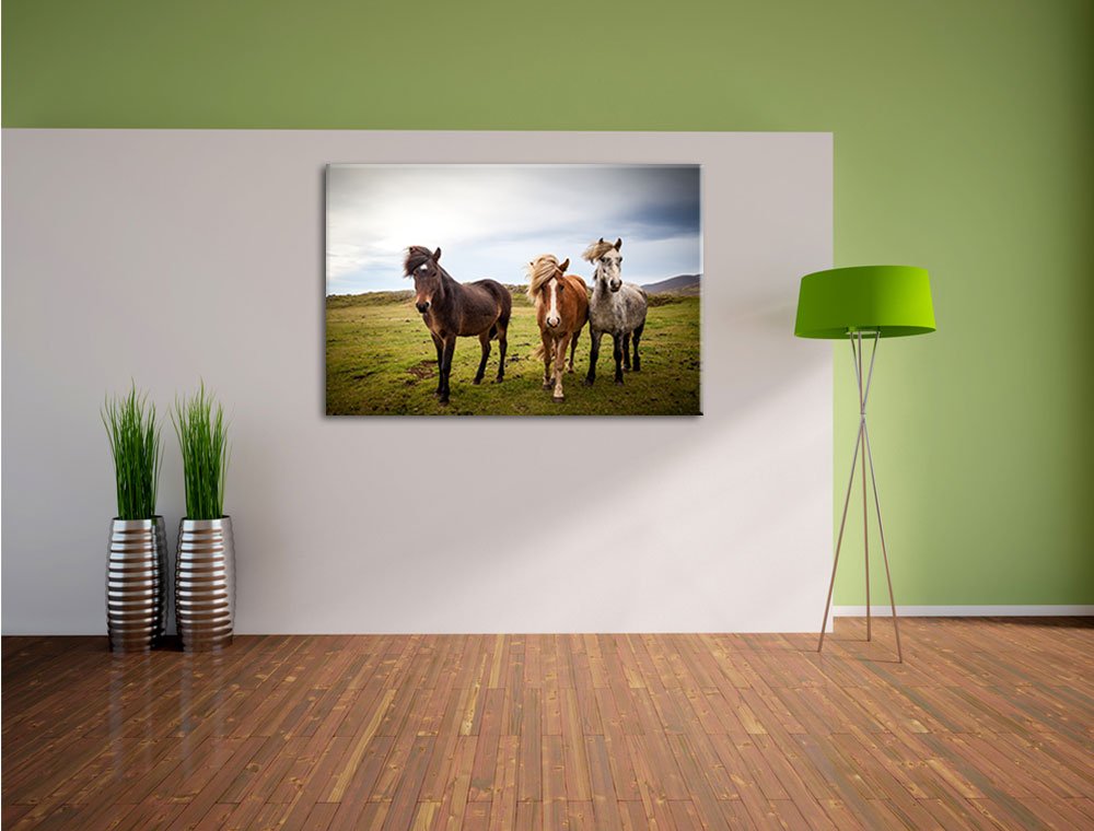 Pixxprint Drei wilde Islandpferde, Größe: 120x80cm, Leinwandbild, fertig gespannt, Wandbild, Dekoration, Kunstdruck, kein Poster