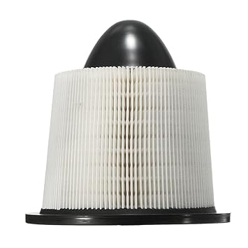 MYADDICTION PAF4878 Air Filter For Ford F150 E150 250 350 Expedition Mustang Lincoln