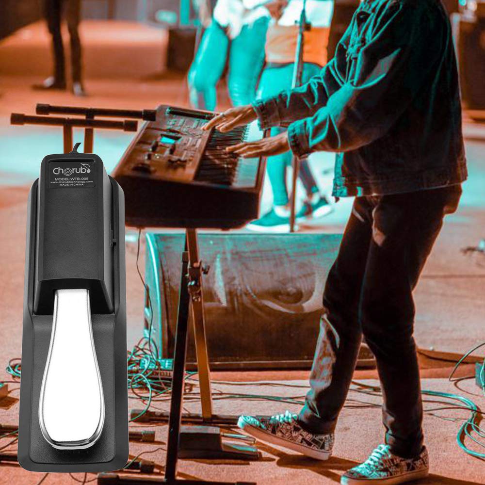 Pedal Piano, Pedal Sustain, Pedales para Teclados Electrónicos, Pedal de Sostenido, Pedal de Resonancia para Teclados y Pianos Digitales, Compatible con todos los teclados eléctricos-Universal