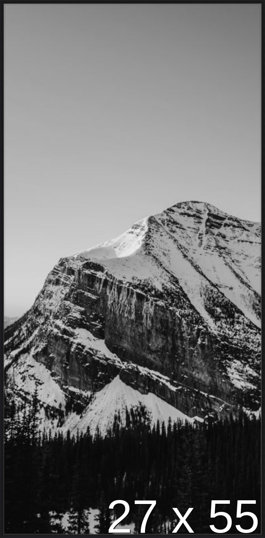 Frame It Easy 27 5/8 x 55 Satin Black Metal Frame (Ashford) 27.6x55 inches