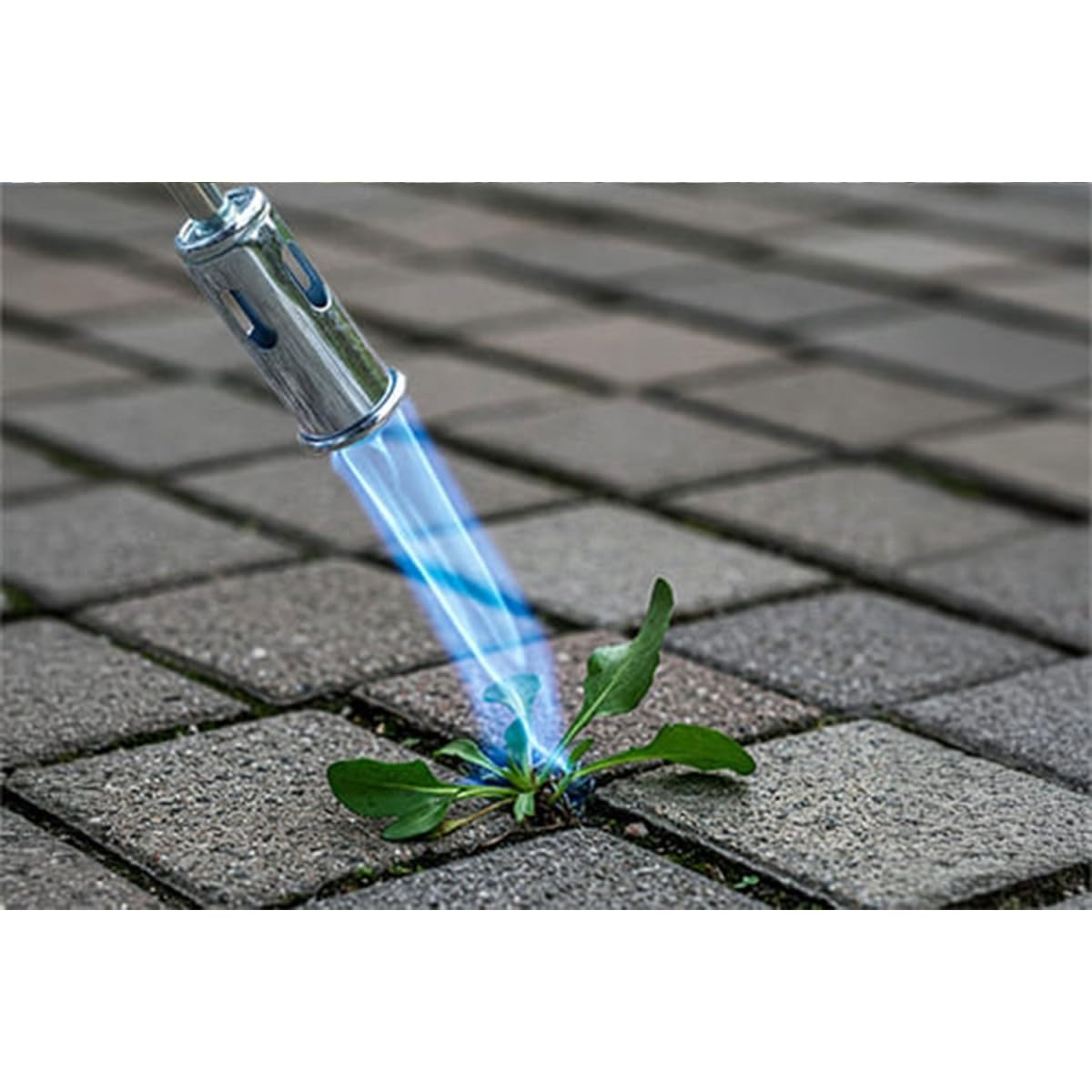 ALPENTECH - Désherbeur Thermique Écologique à Gaz Butane avec 4 Recharges Incluses | Lance 80cm | Allumage Piézo | Polyvalent pour Jardin, Pavés, Barbecue.