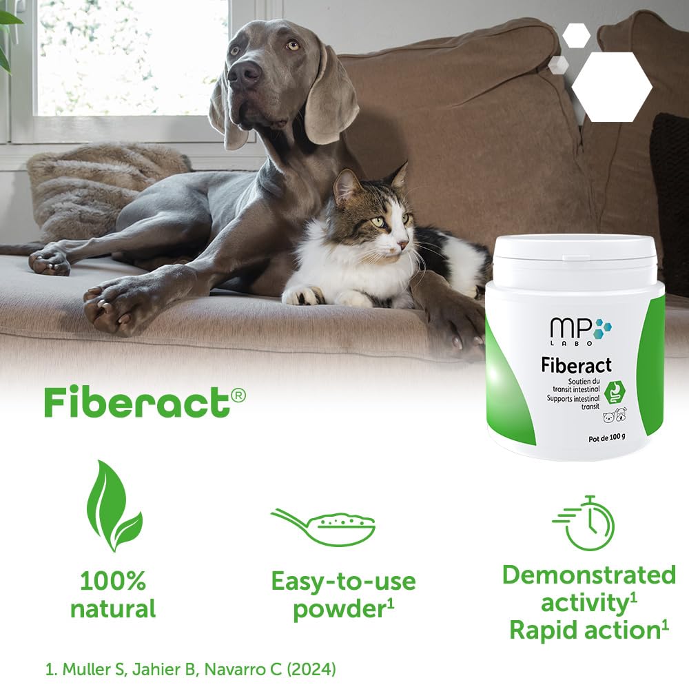 MP Labo Fiberact 100 g
