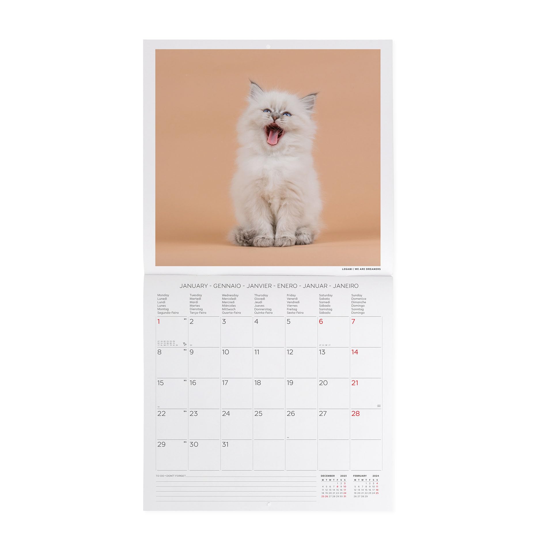 Legami, Wall Calendar 2024, 12 Months and Annual Planner, Space for Notes and Notes Number of the Week, 6 Languages - Image 2