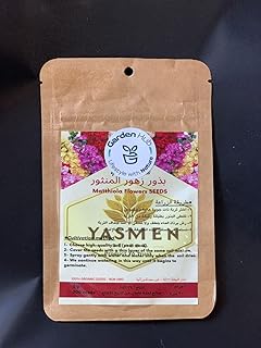 بذور زهور المنثور زهور زينه 2 جرام 300 بذور عضه