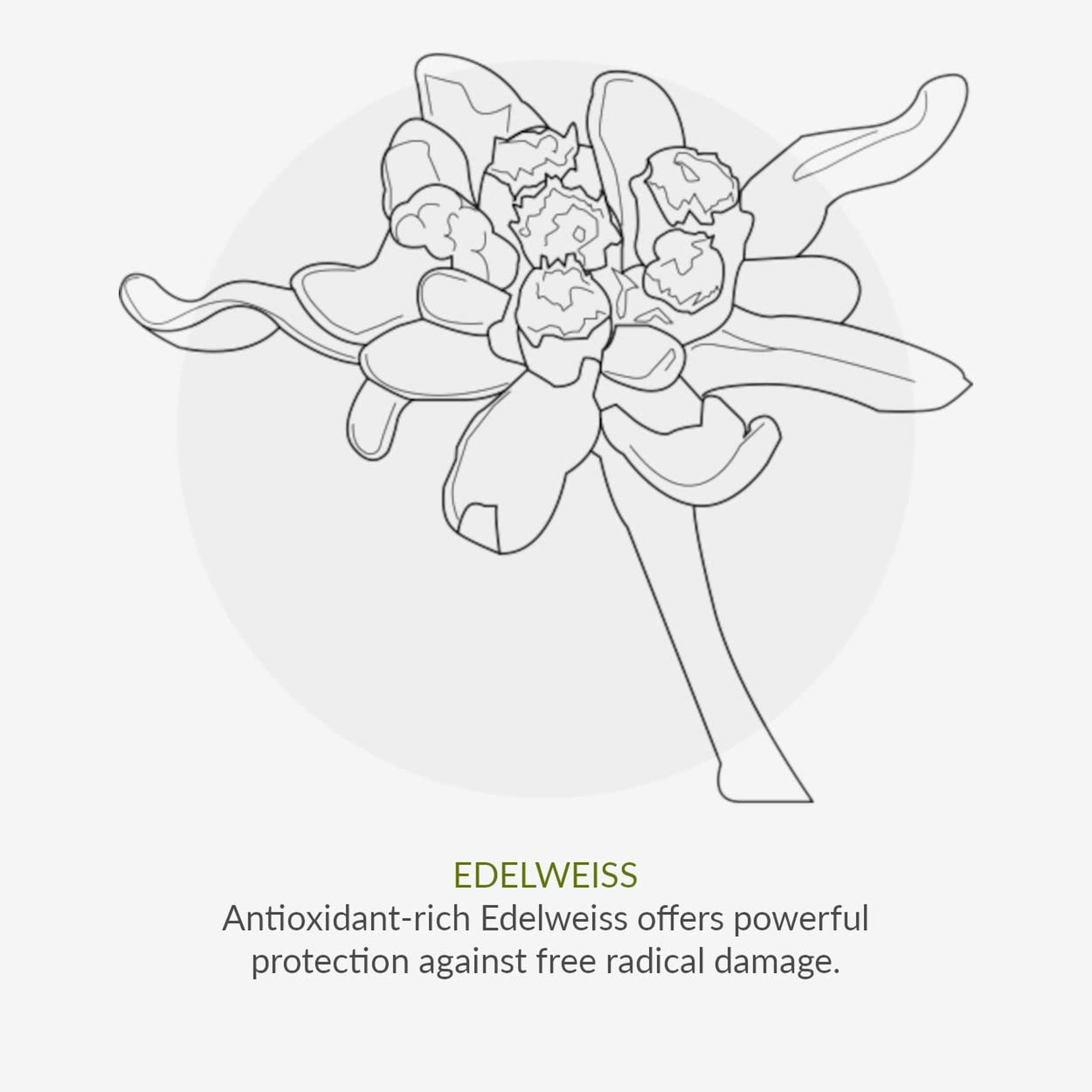 Green People Bio-Kinder Sonnencreme SPF30, 150ml | Ohne Duftstoffe, Natürliche Sonnencreme, Korallenfreundlich und tierversuchsfrei, Aloe Vera, Grüner Tee und Edelweiss, Vegan