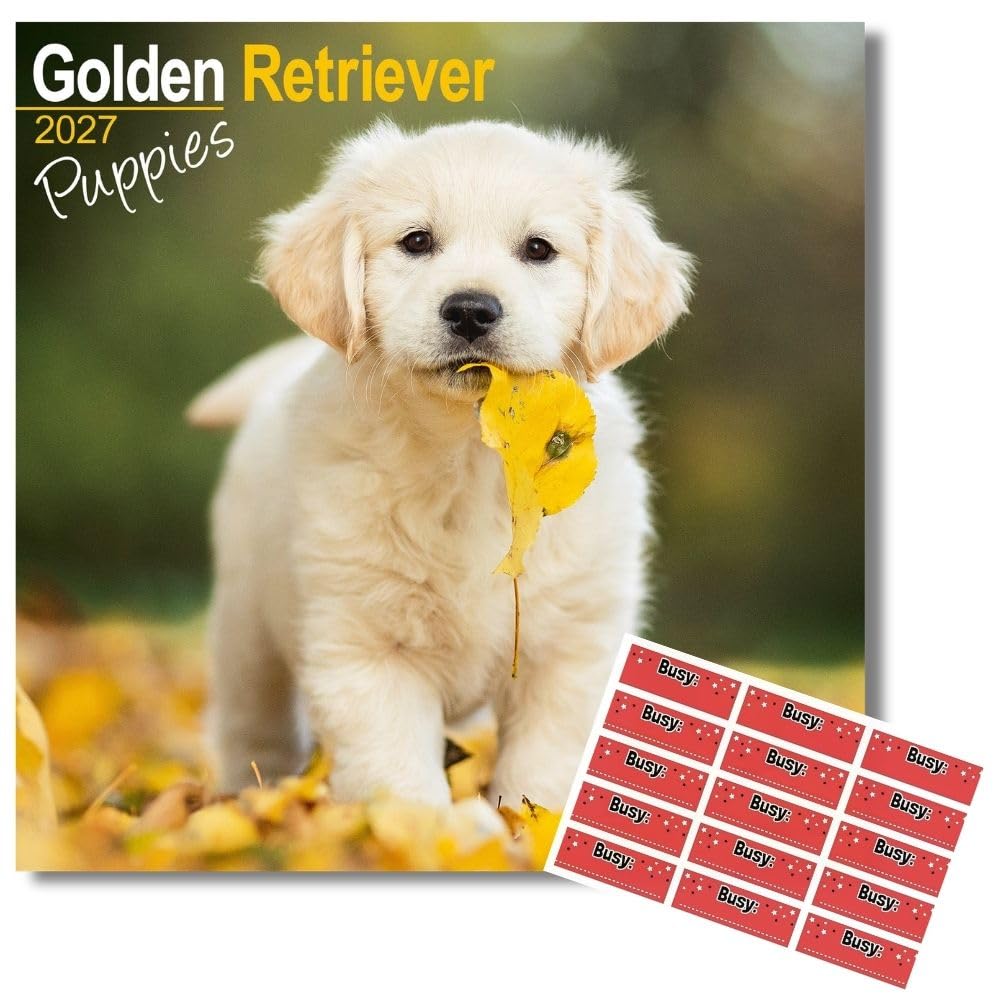 Avonside Golden Retriever Puppies 2027 Square Calendar with Stickers