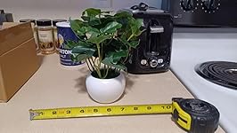 Review Image by Deborah S Rich Deborah S Rich