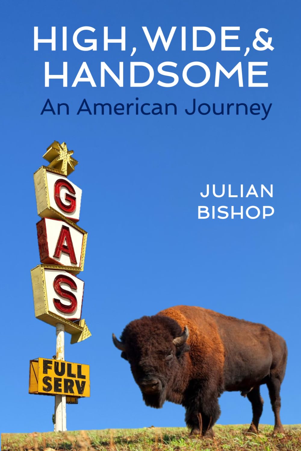 High, Wide, and Handsome: An American Journey (Julian's Journeys)