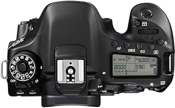 Amazon.com : Canon EOS 80D DSLR Camera (Body Only) (1263C004