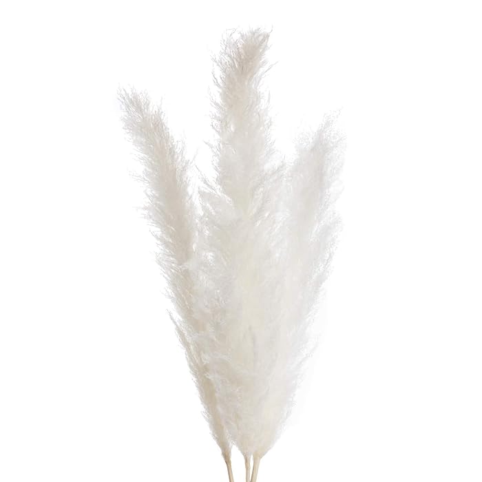 Buy White Pampas Grass 46" x 3 Pieces Pampas Grass Decor Tall