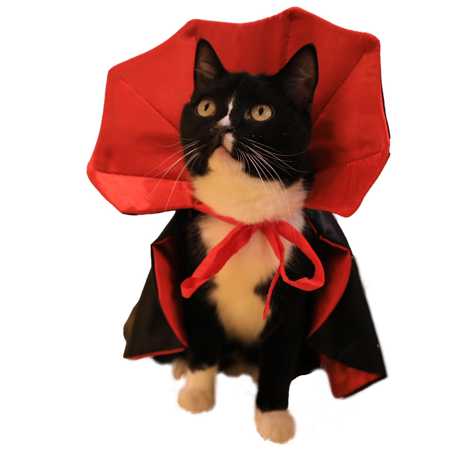 Dog Cat Vampire Cloak Costume for Small Medium Large Dogs Cats, Halloween Dog Costumes Cat Vampire Cloak