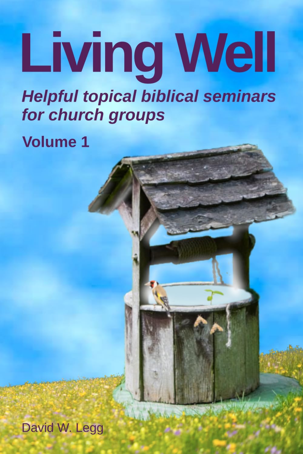 Living Well: Helpful topical biblical seminars for church groups (Small Group Bible Studies)