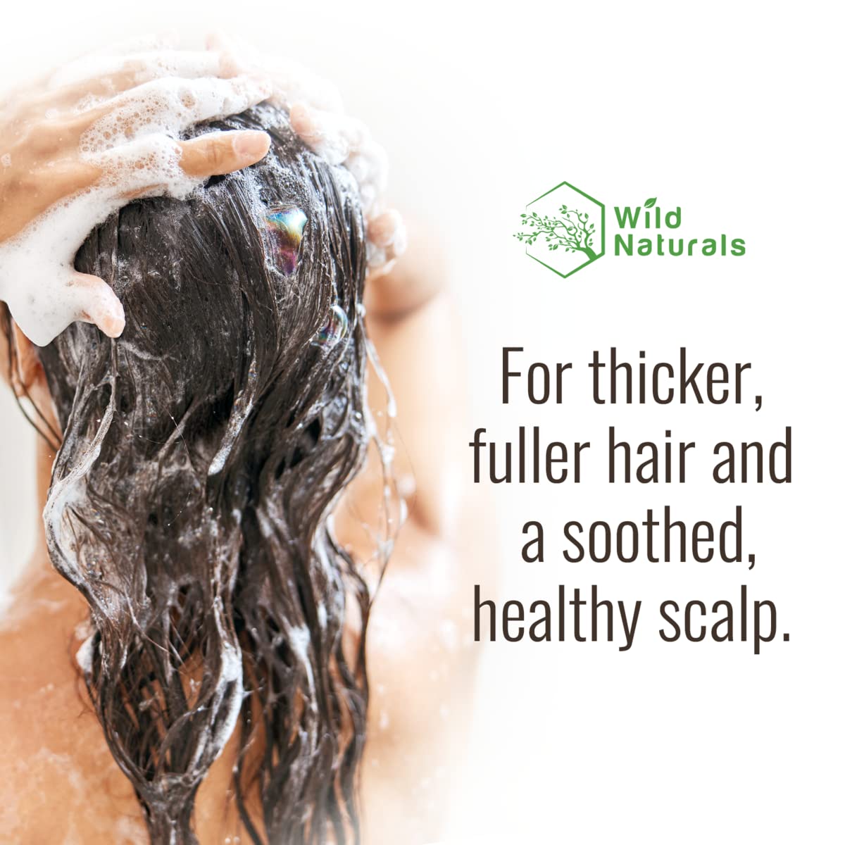 Wild Naturals Shampooing et après-shampoing à l'huile d'arbre à thé, traitement pour cuir chevelu sec, soulage les démangeaisons, formule anti-pelliculaire et épaississante pour hommes et femmes, tous