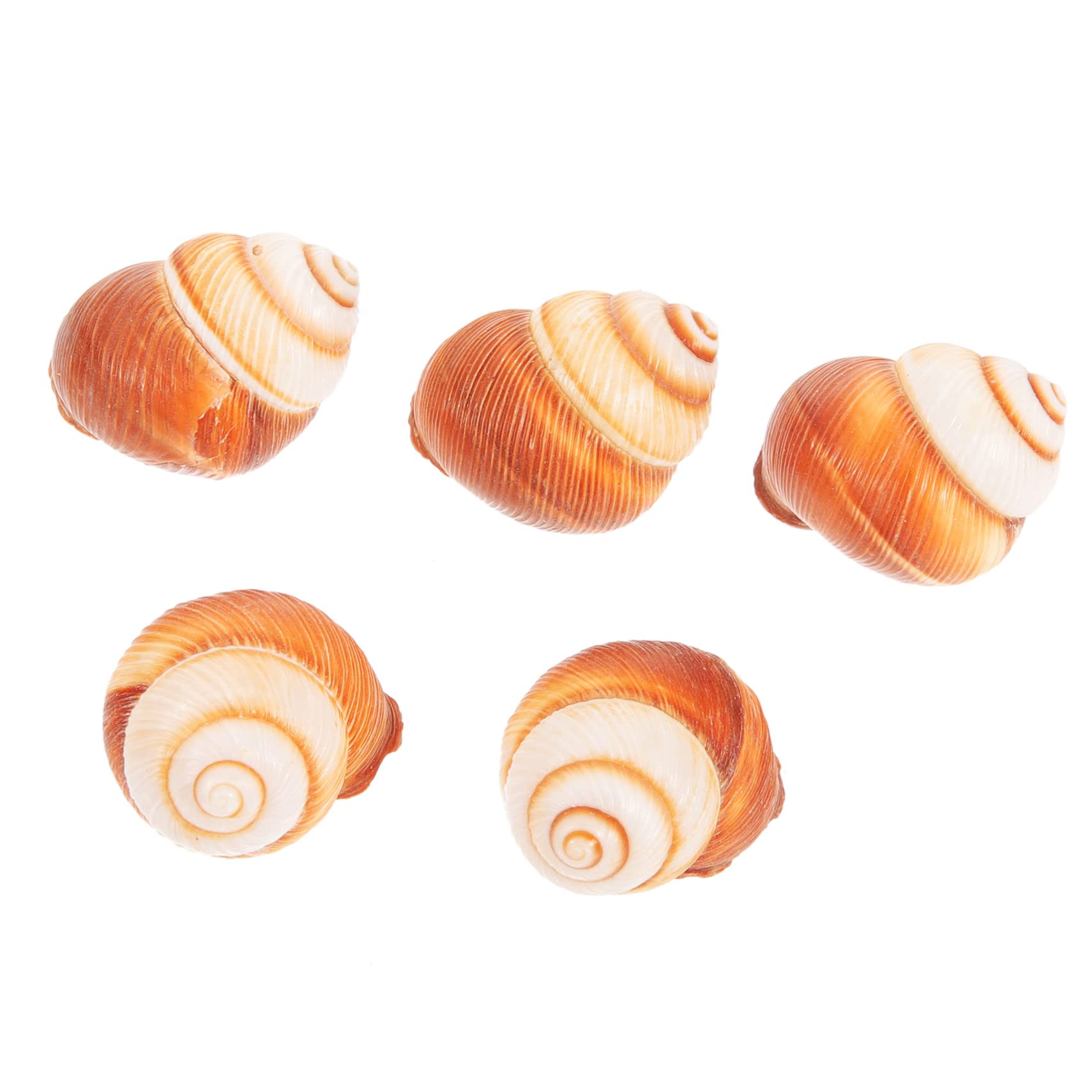 BESPORTBLE 15piezas Natural Escargot Shells para Cocinar Caracoles Al Horno Elegantes y Comestibles para Preparaciones Francesas Resistente y Práctico para Gastronomía