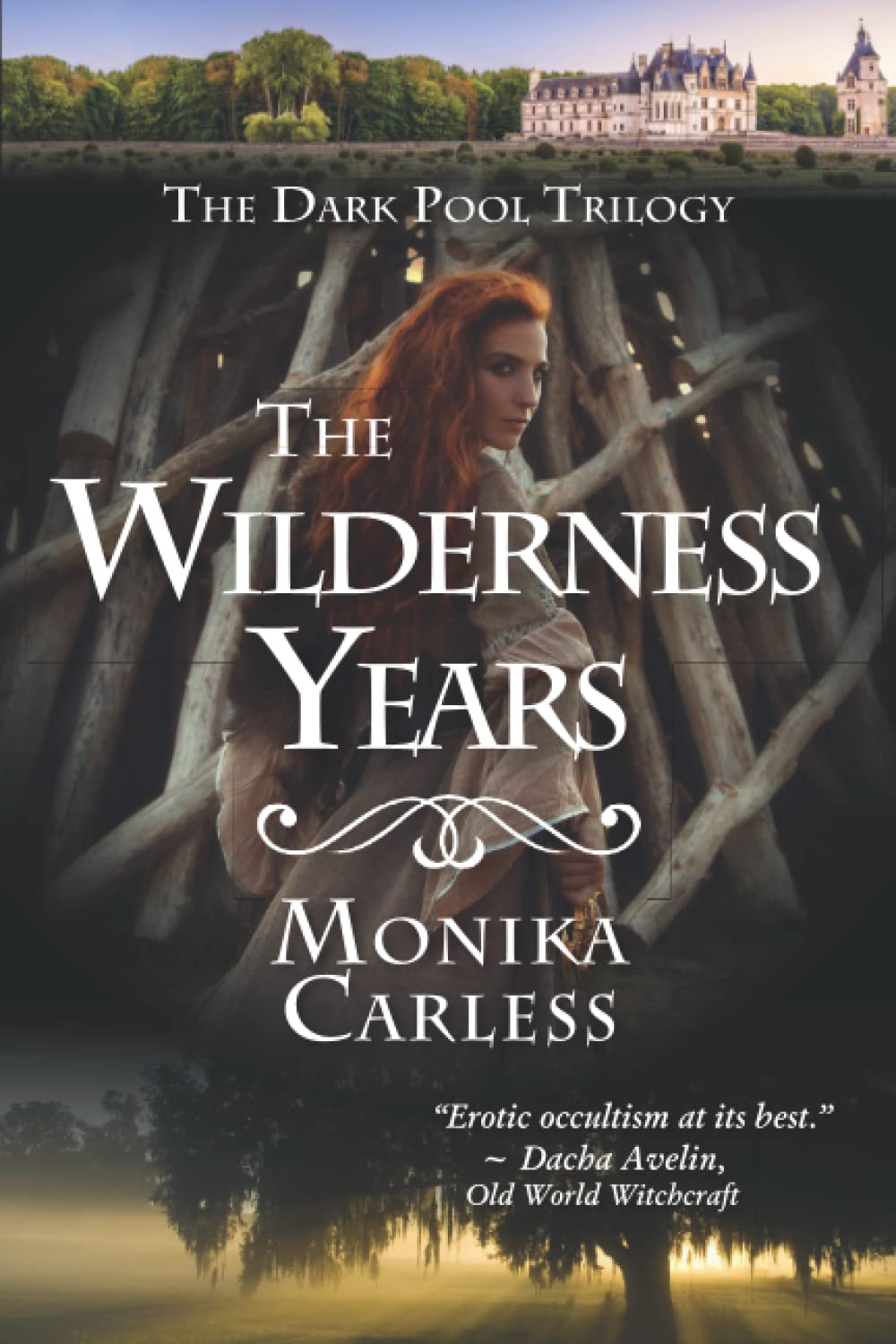 The Wilderness Years: 3 (The Dark Pool Trilogy)