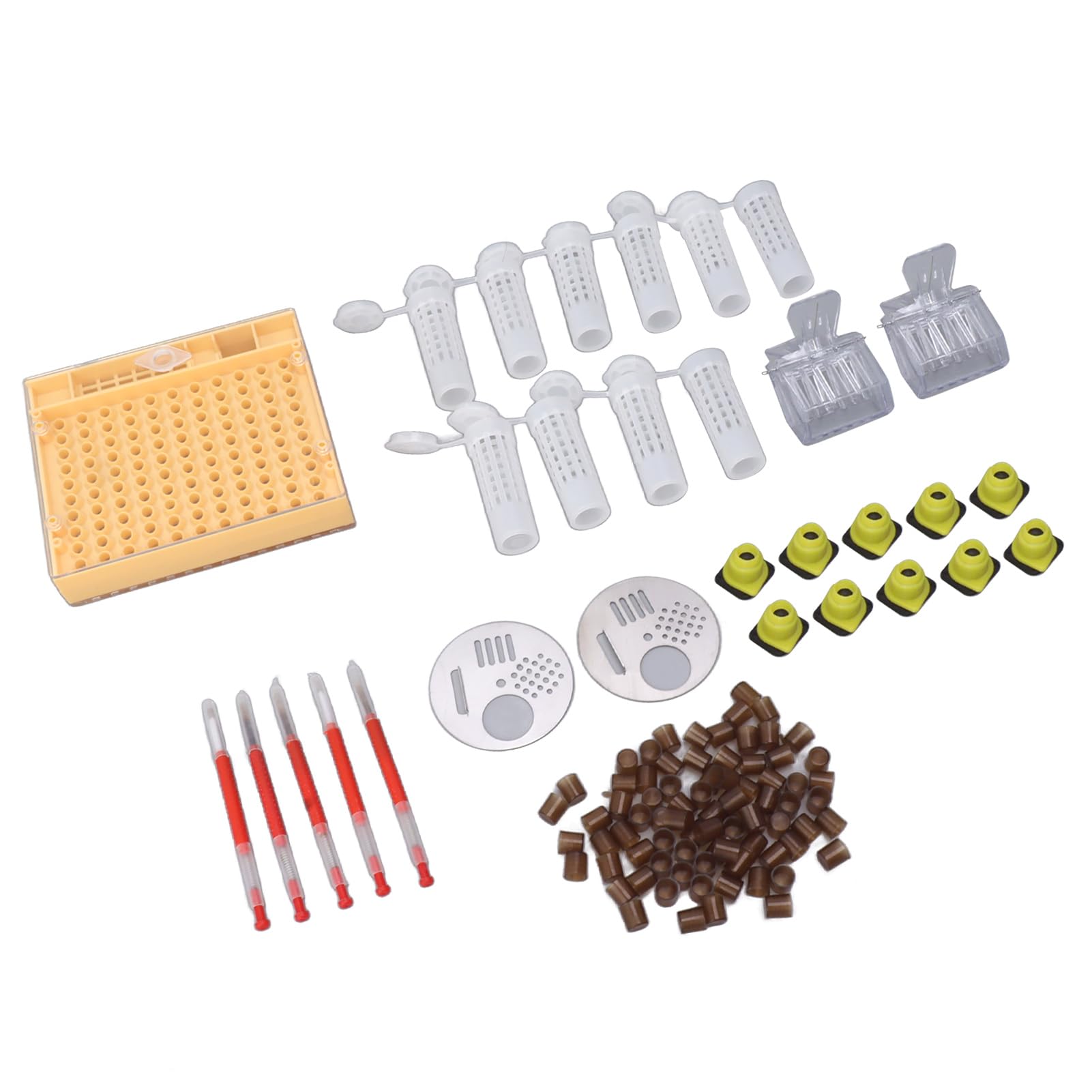 Syst¨¨me D'¨¦Leva de Reine en Plastique, Kit D'apiculture, Fournitures de Greffa de Reine pour Apiculteurs