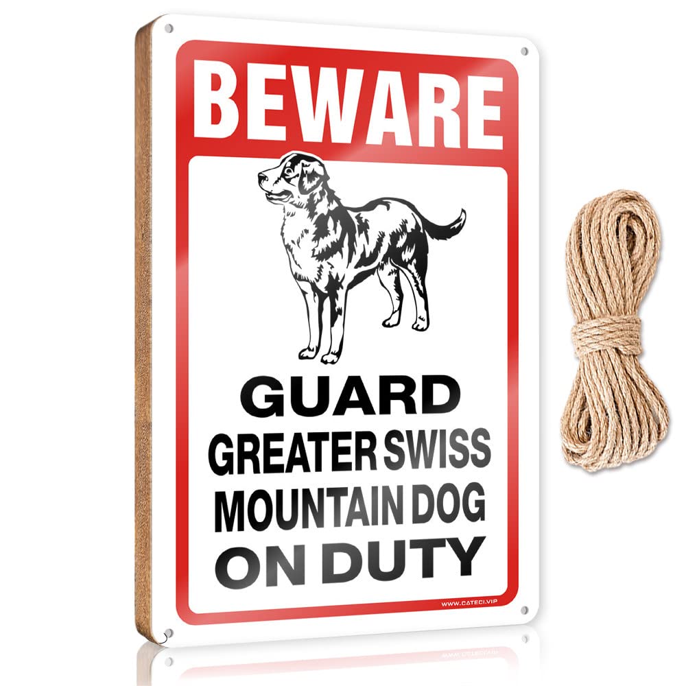 Dtha One Color Winter Signs For Home Decor Beware! Guard Emus On Duty Wooden Sign Signs And Plaques Hanging Signs For Home Decor(15X28cm)