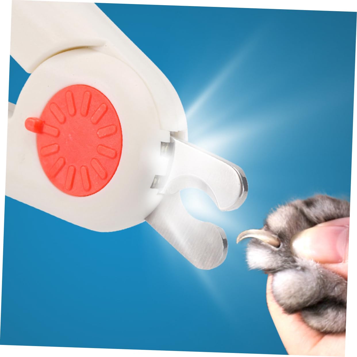 Happyyami 2pezzi Forbice per Unghie per Animali con Luce LED Design Ergonomico e Sicuro per La Manicure di Cani e Gatti Inossidabile e Colore Rosso