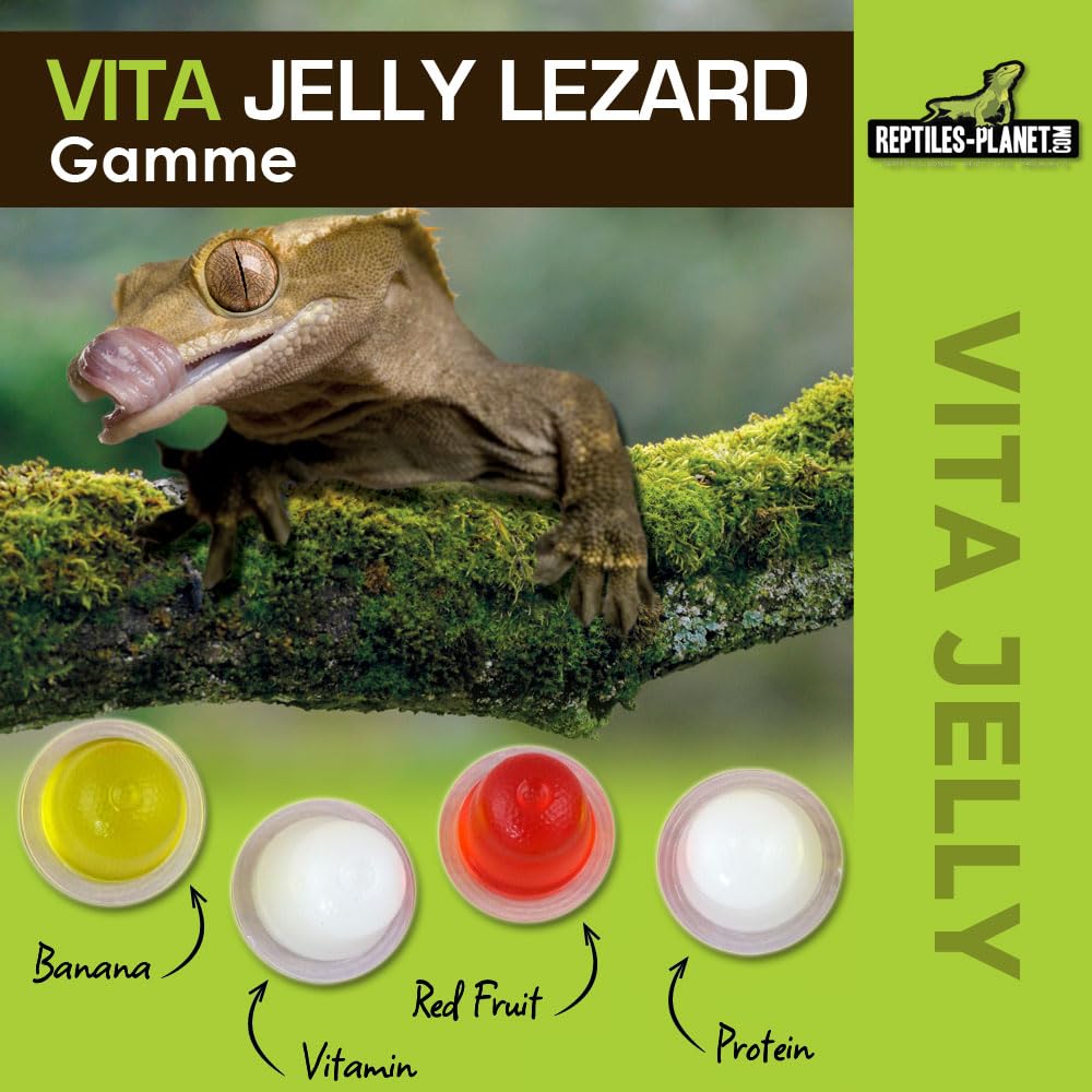 Reptiles Planet - Vita Jelly Banane pour Lézard - 10 pcs
