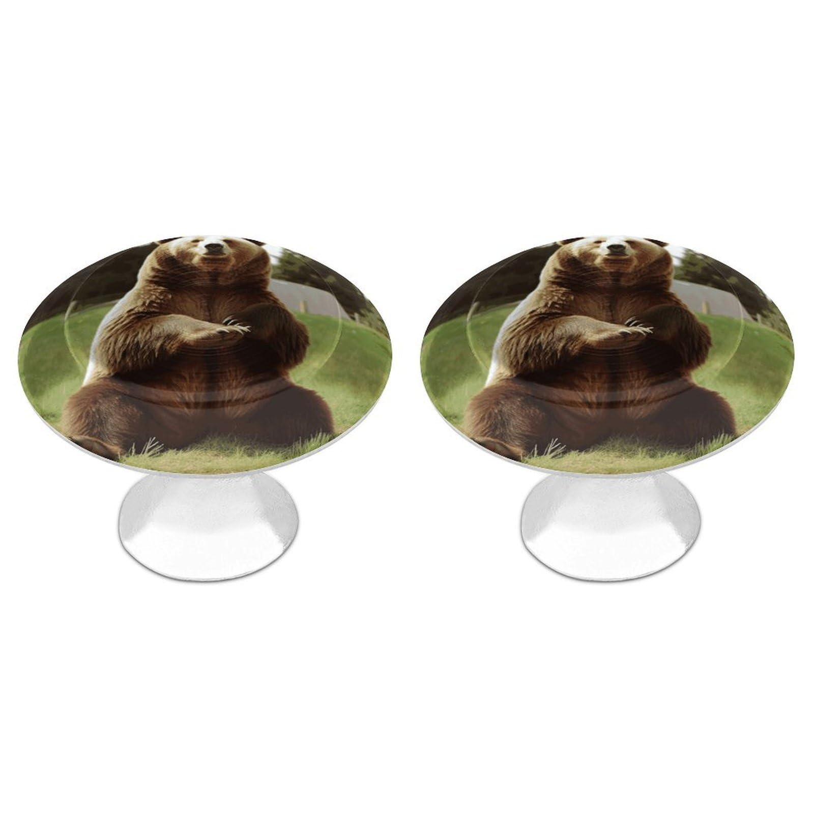 Btcowzrv Style Hi Bear Sit On The Lawn 2 Pack Cabinet Knobs Drawer Pulls