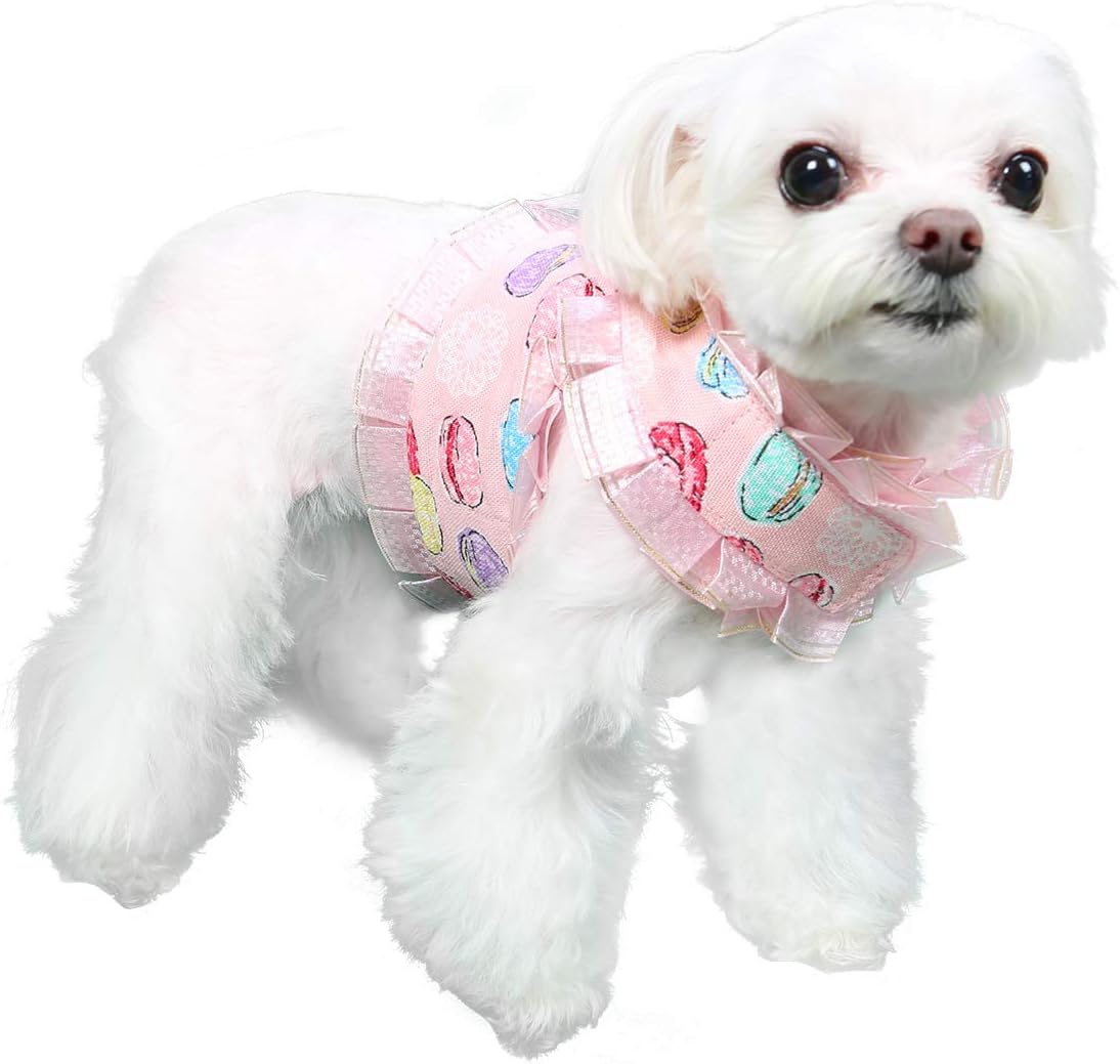 Pooch Outfitters Dog Harness Collection | Dog Walking with Style – Extensive Selection of Unique, Fashionable Harnesses That Suit Any Taste, Mood, Occasion