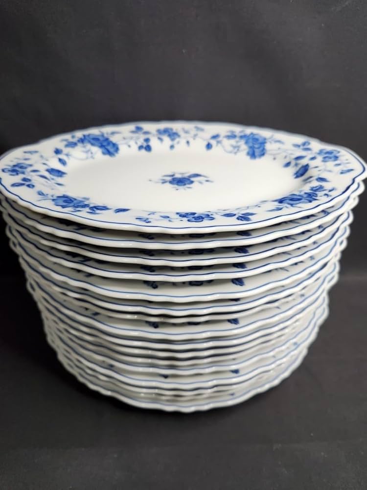 Amazon.co.jp: 美濃焼 ROYAL MEISSEN（ロイヤルマイセン）和皿