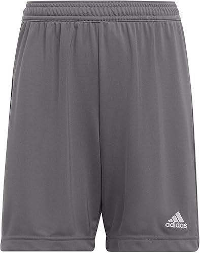 adidas Pantalones cortos Entrada 22 para niños