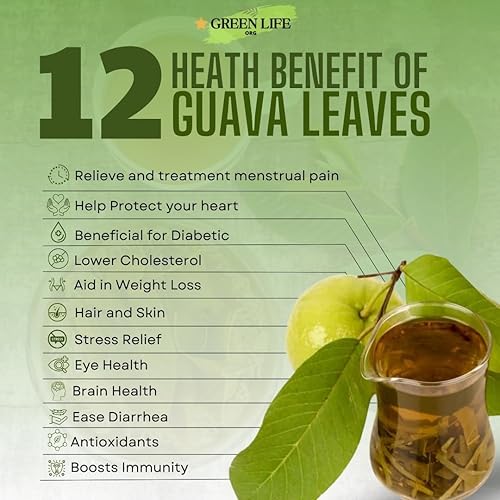 Miniatura 4 de Té de hojas de guayaba verde, 100% natural y pures (2.75 onzas). Té de hierbas de guayaba de hojas sueltas sin azúcar, sin cafeína, sin gluten,