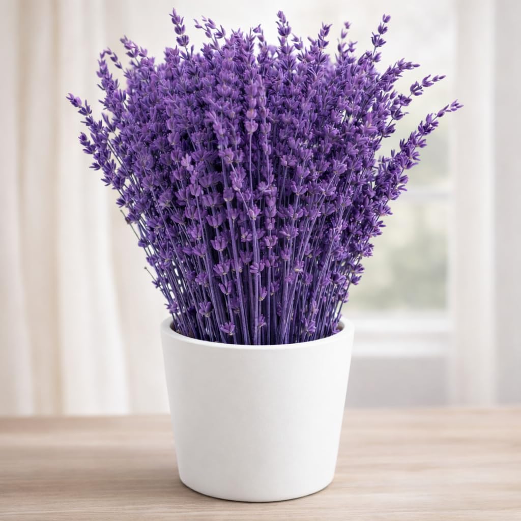 Oning Dried Preserved Lavender Bouquet