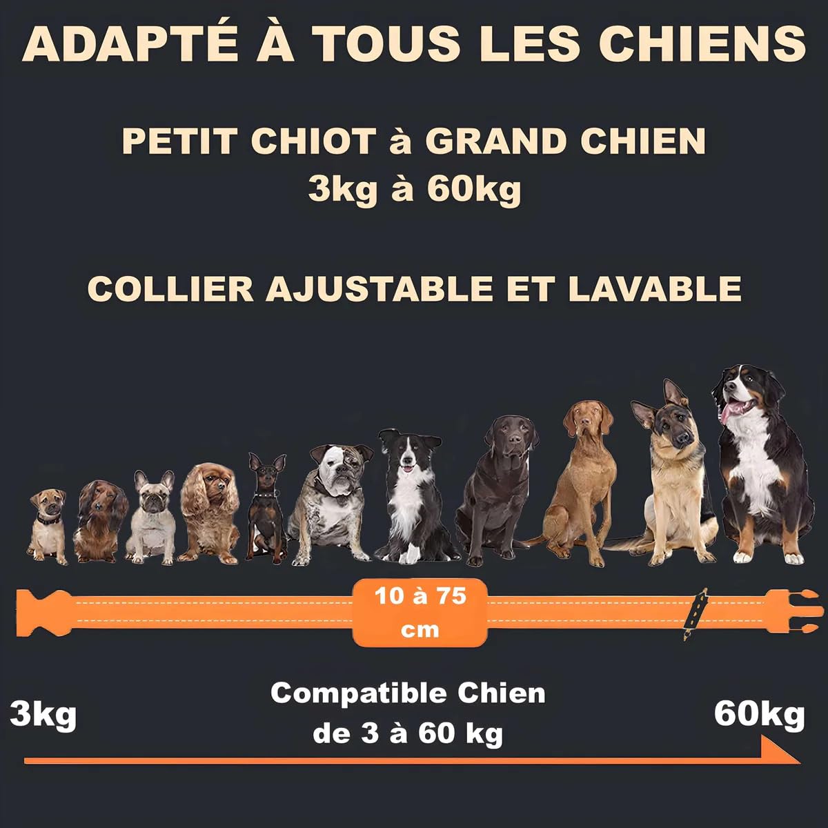 PAWPRO Collier de Dressage Chien 1000m Étanche Rechargeable 3 Modes BIP Vibration Choc