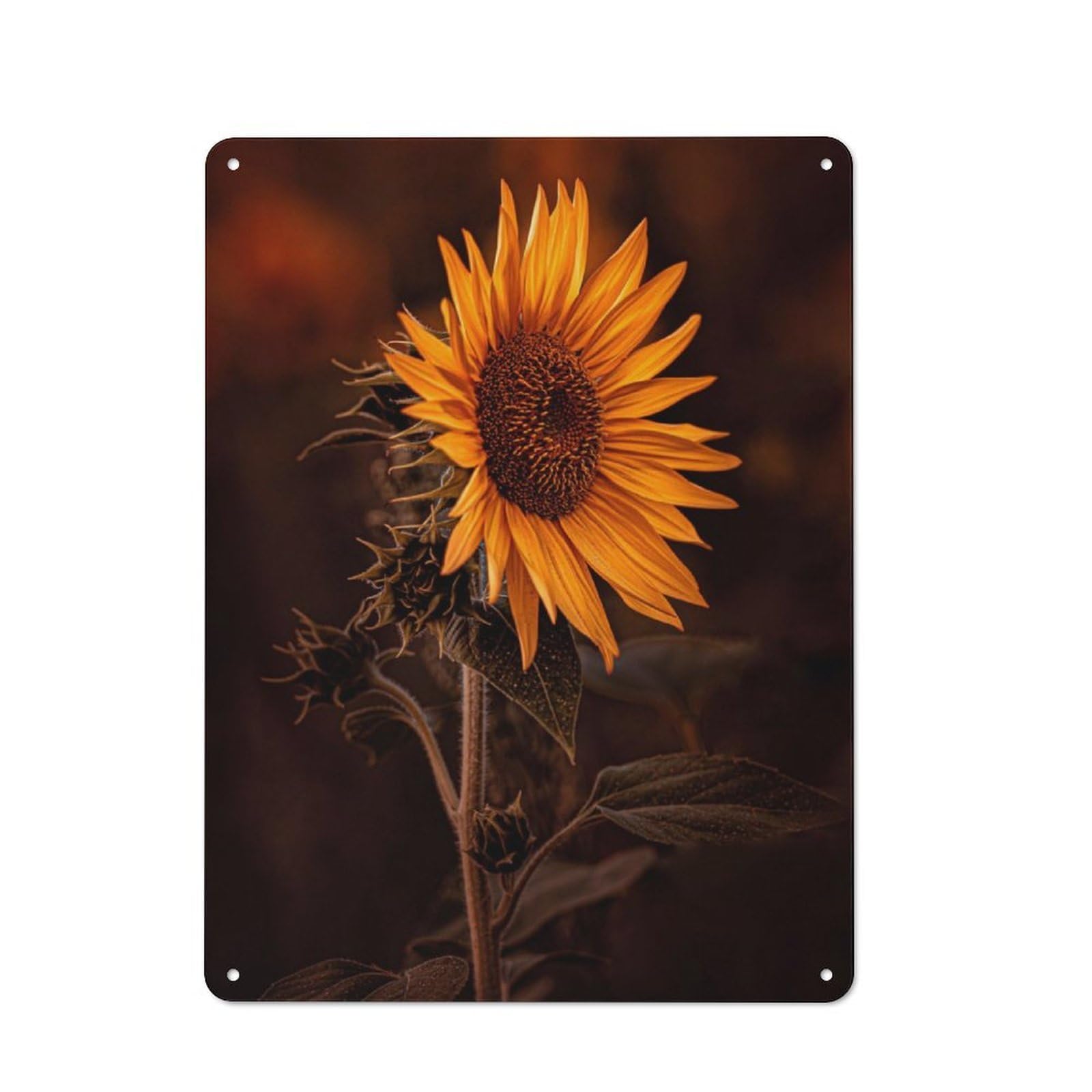 Junmoney Portrait Of A Sunflower 40X30cm Vintage Metal Plaque With For Garage Or Workshop, A Christmas Gift For People Styling Garage And Workshop