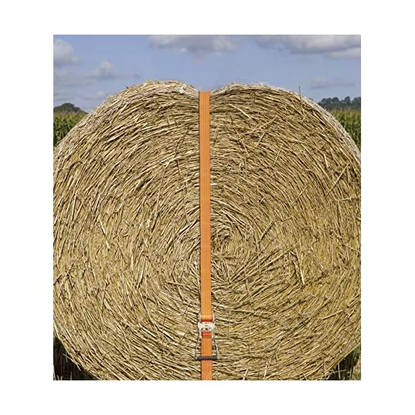 Kerbl Ratschenzurrgurt mit Spitzhaken (Zugkraft direkt 2000 kg, LÃ¤nge 15m, Breite 50 mm) 37160, orange – Bild 5