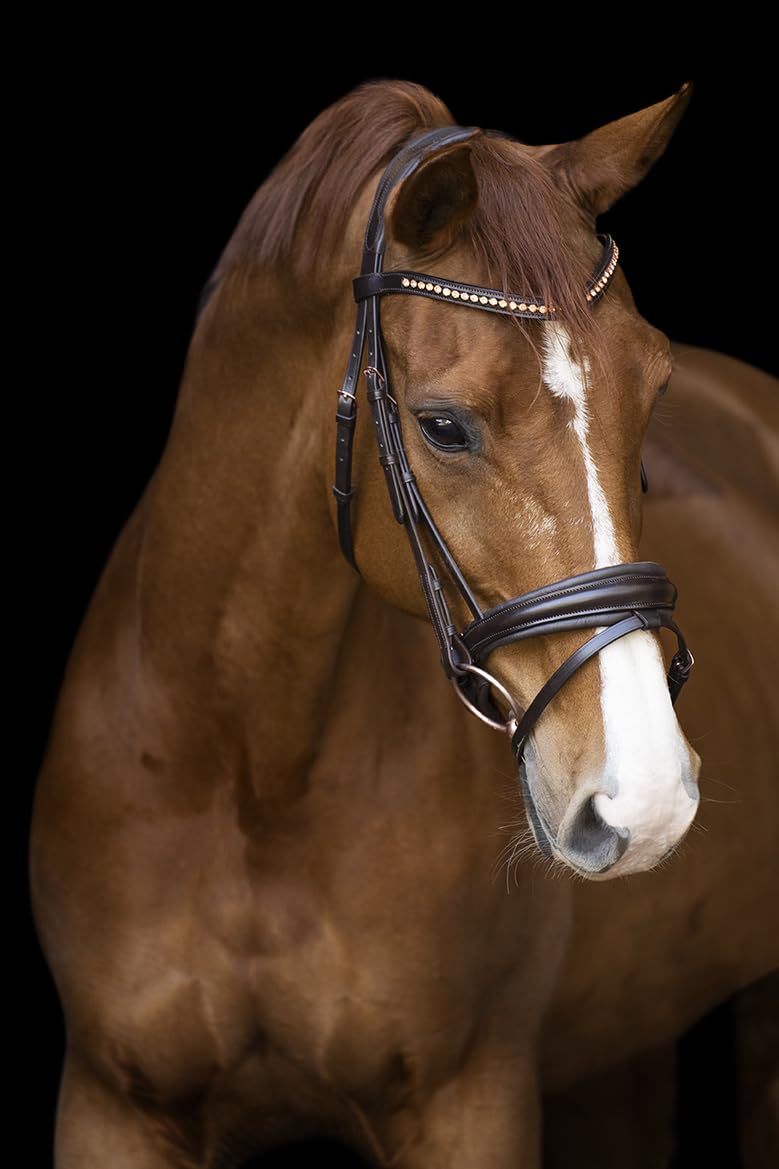 Imperial Riding IRH Fria Trense ohne Zügel, anatomisch geformt, weiche Schafslederpolsterung, Stirnband mit Strass, hochwertiges Büffelleder, inkl anatomischem Nasenriemen, Braun, Full