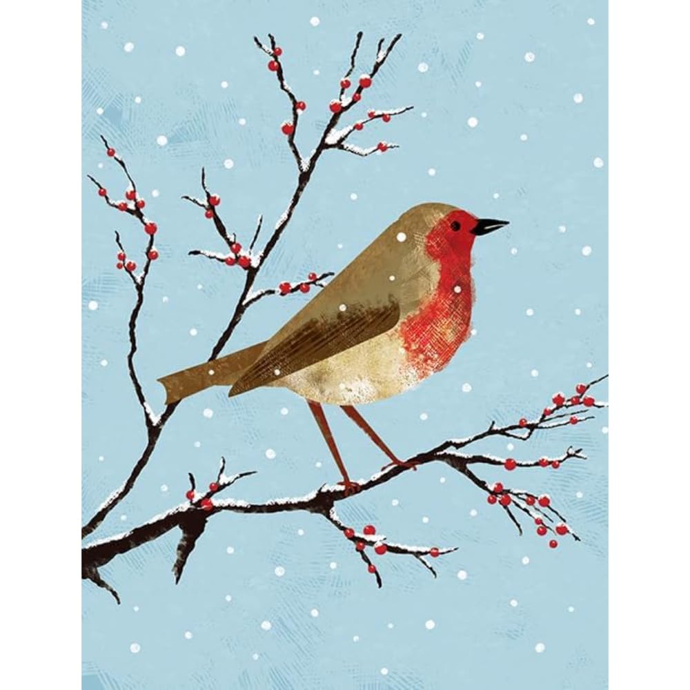 Piccadilly Greetings Traditional Christmas Card, Open Art Robin - 8 x 6 inches