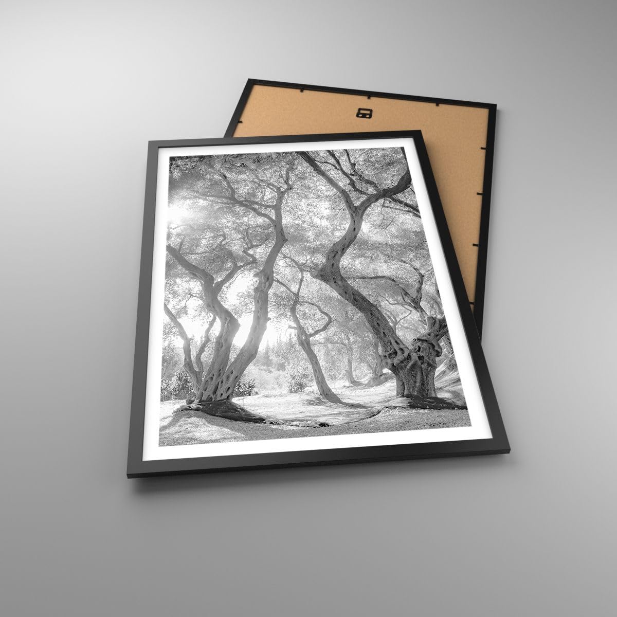 ARTTOR Poster Wandbild Kunstdruck 50x70cm Botanik Schwarz-Weiß - 5354 - P2B | Wald Winter Bäume Vertikal mit schwarzem Rahmen Wohnzimmer Schlafzimmer Küche Büro Wanddeko Kunstposter ARTTOR