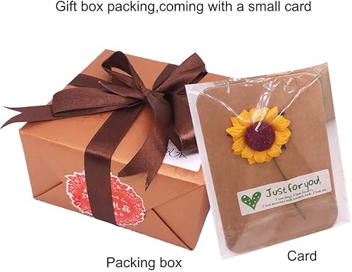 Miniatura 7 de Gbrand Fly Me to The Moon - Caja musical de madera natural, tamaño mini, color nogal