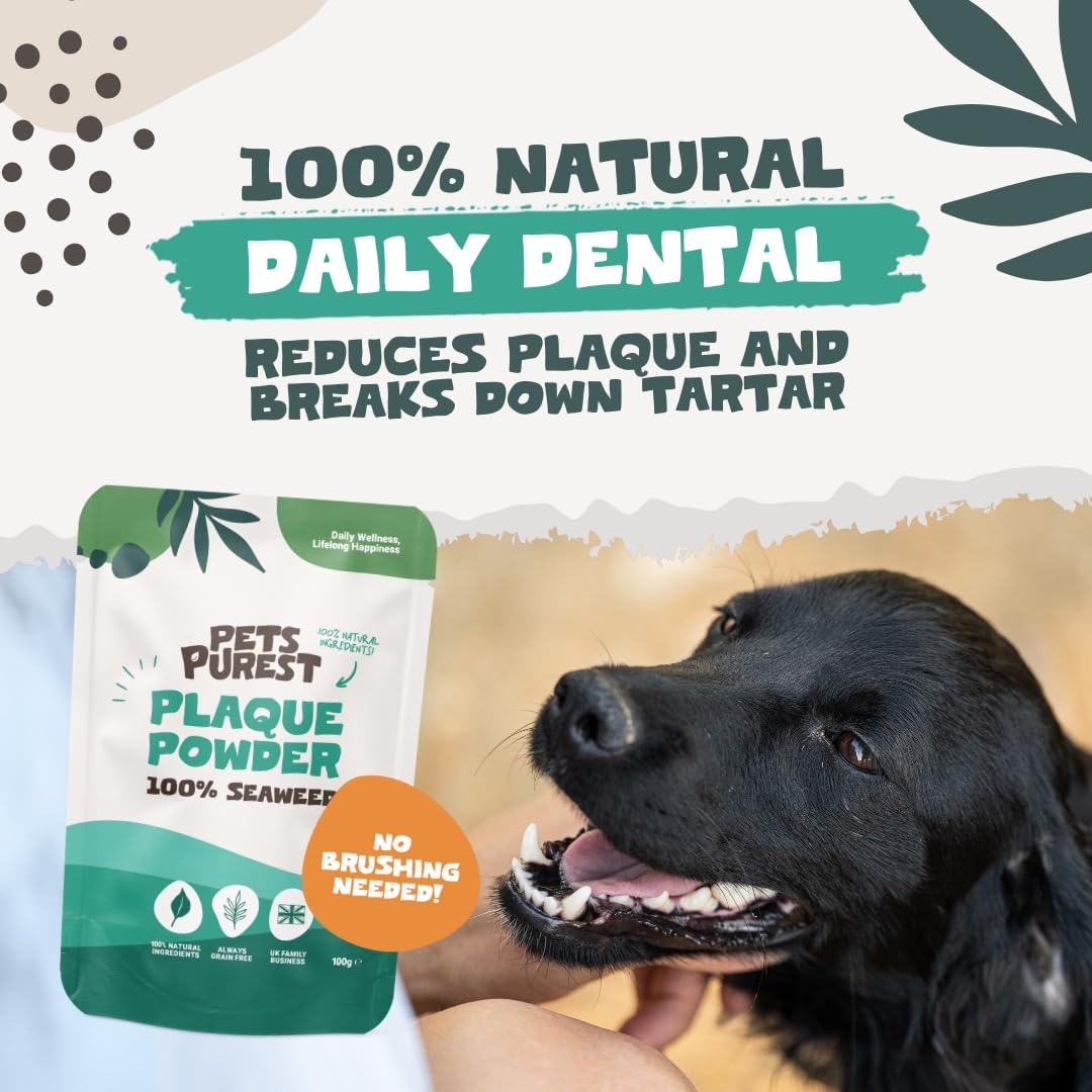 Pets Purest Plaque Off Powder, 100g Plaque Pro Tartar & Plaque Remover for Dogs Cats & Pet. 100% Natural Bad Breath - Image 2