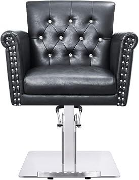 Dir Salon Styling Chair Beauty Hydraulic Salon Stylist Chair Lion