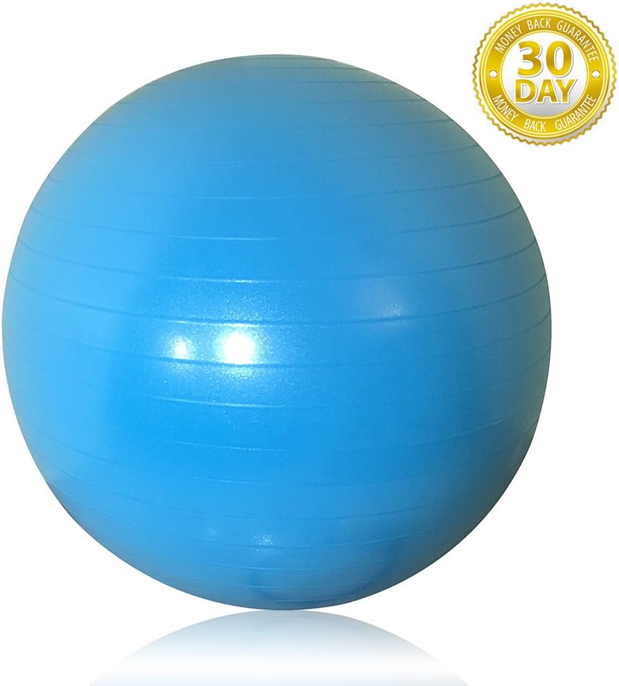 Professional Quality. 2000 Ibs Anti Burst Stability Ball