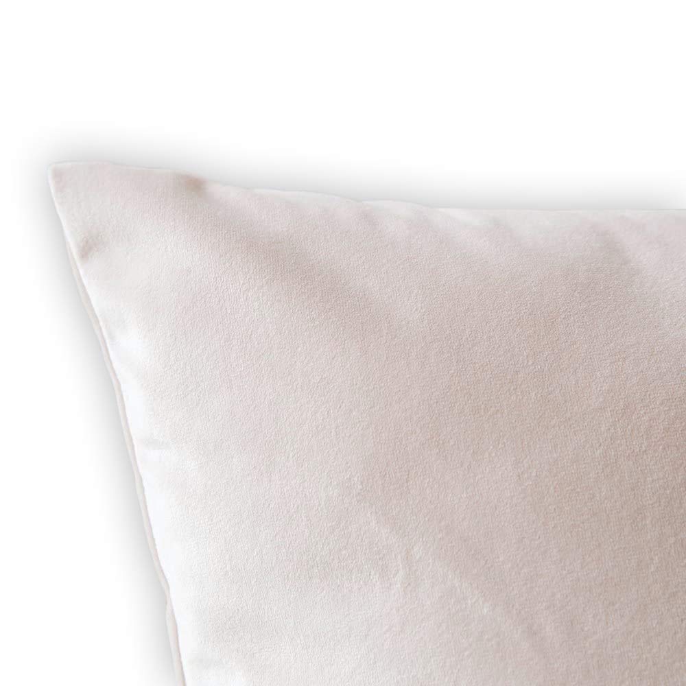 Juego de 4 fundas de almohada BAGEYOU Ikat Tribal y Boho étnico Herringbone para Ideas Decoración Funda de almohada para el hogar Cuadrado de 20 x 20 pulgadas Funda de almohada