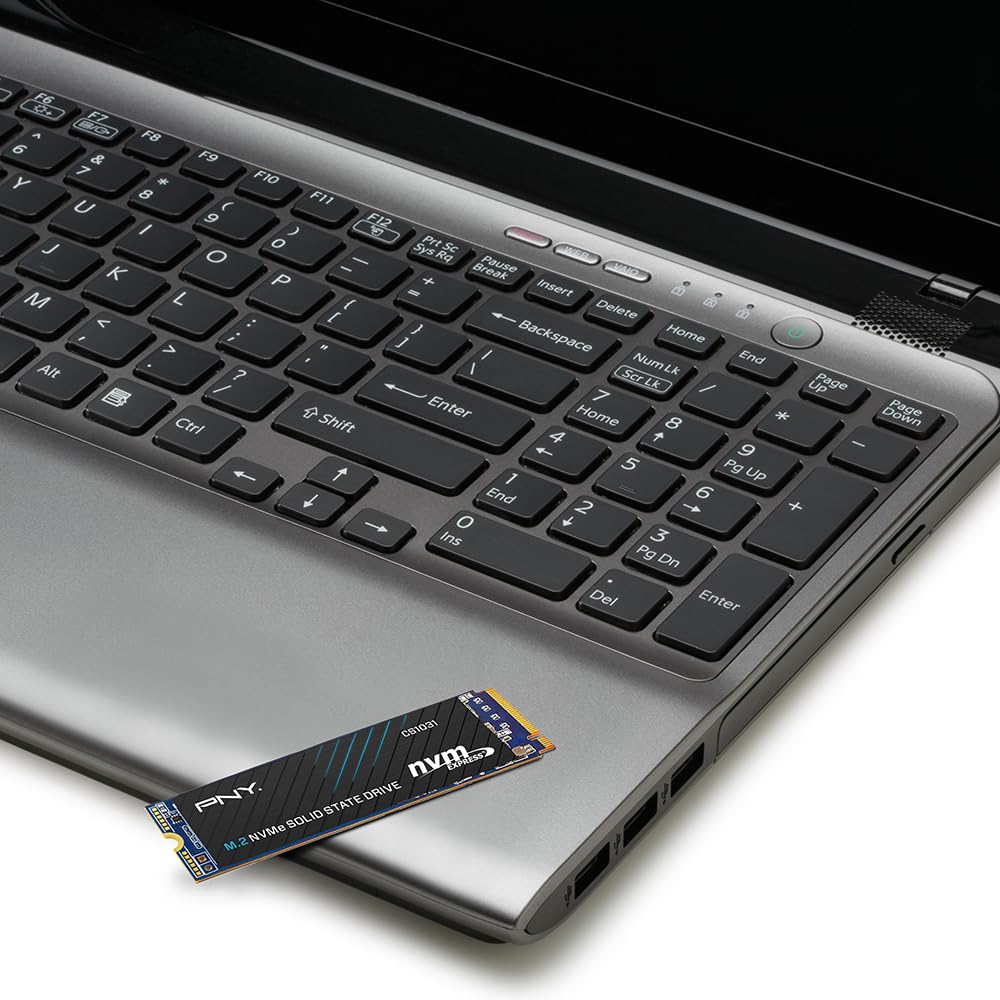 Amazon.co.jp: PNY: SSD
