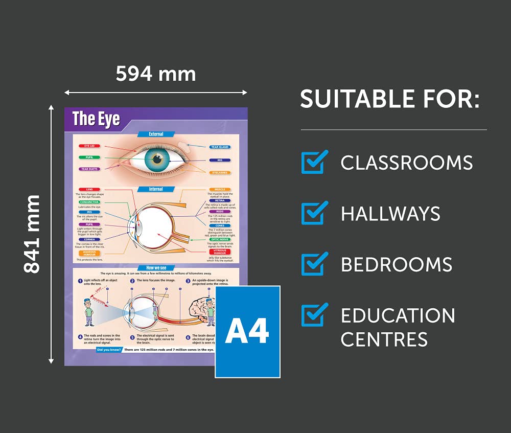 Free Science Posters To Download And Display | Educake