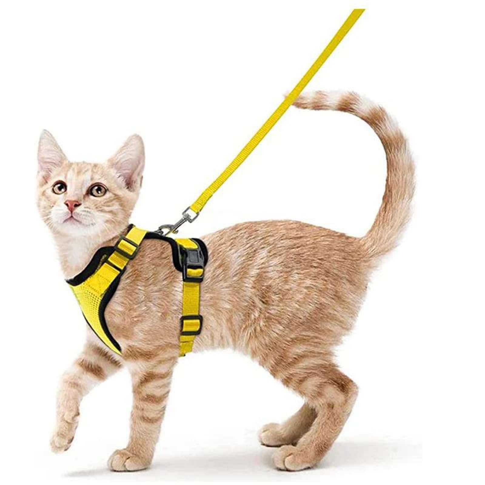 Pettorina e guinzaglio per Gatti da Passeggio, Imbracatura Morbida Regolabile a Prova di Fuga per Gatti