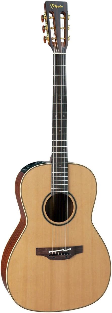 TAKAMINE E P3NY NEW YORKER + CASE Acoustic electric guitars Steel acoustic-electrics