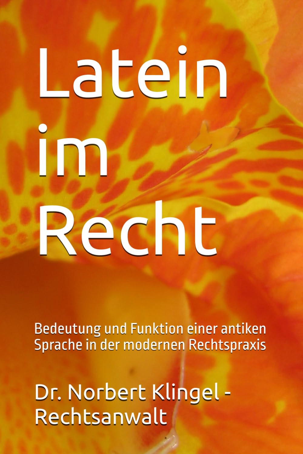 Latein im Recht: Bedeutung und Funktion einer antiken Sprache in der modernen Rechtspraxis