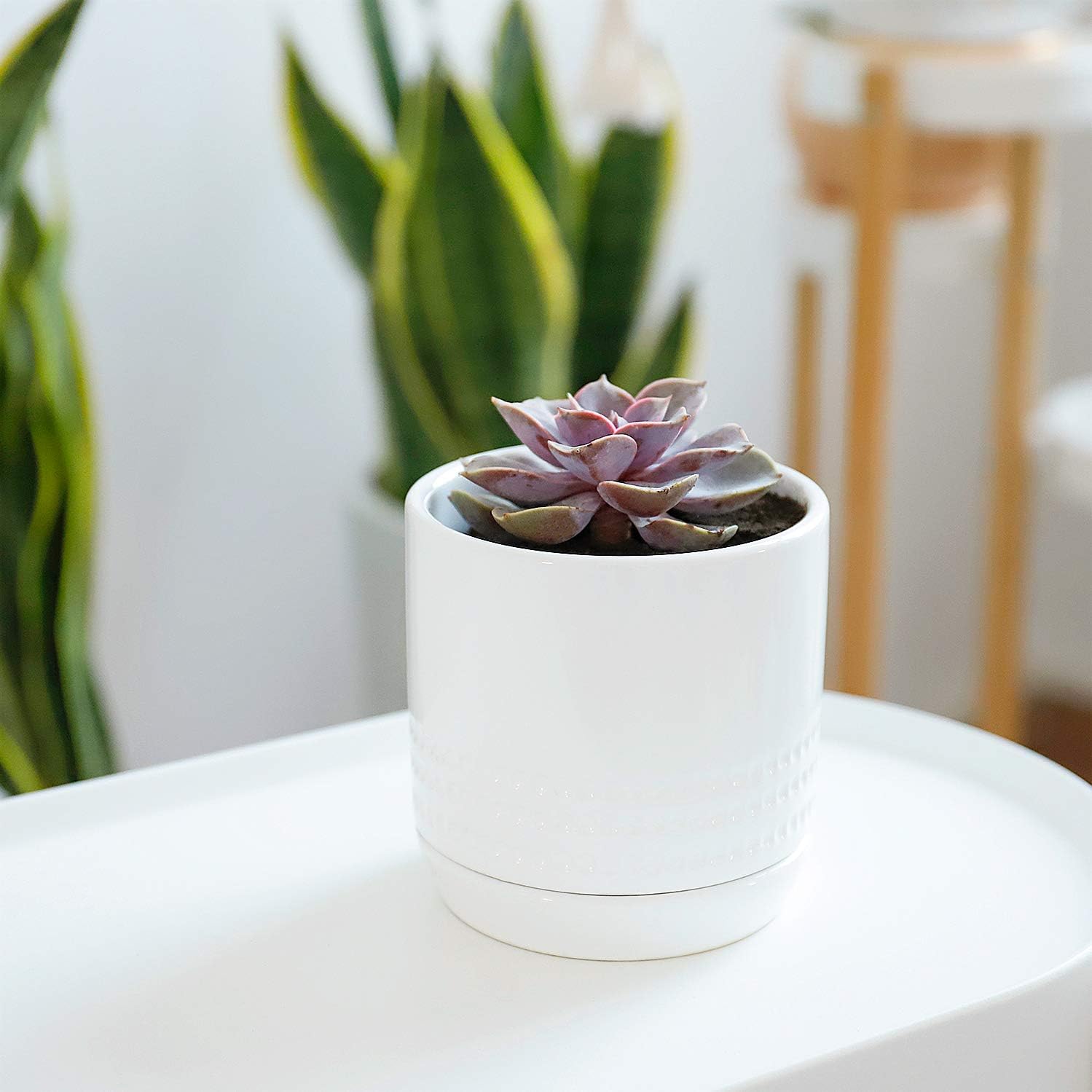 POTEY White Planters Pots for Plants Indoor - Glazed Ceramic Modern Planters Indoor Bonsai Container with Drainage Holes & Saucer 053501, Set of 4, Plants Not Included