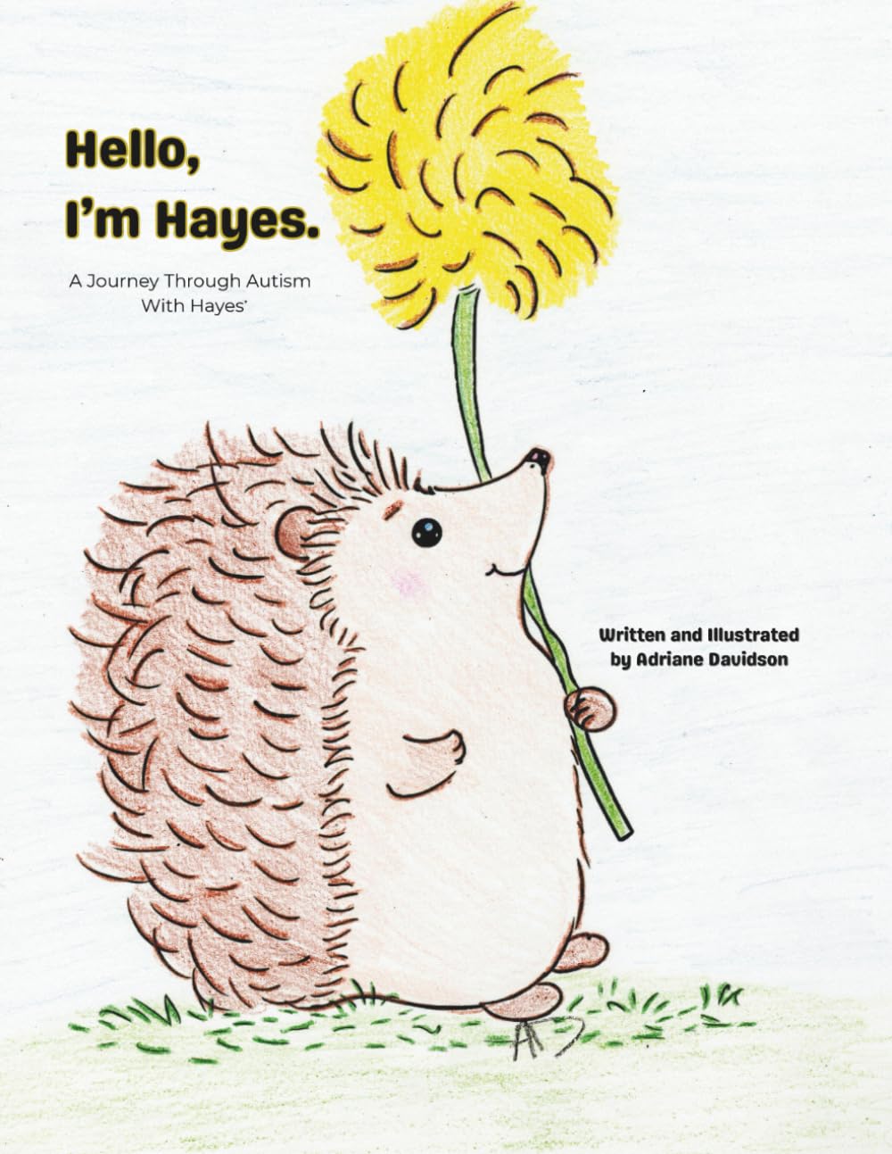Hello, I'm Hayes.: A Journey Through Autism With Hayes