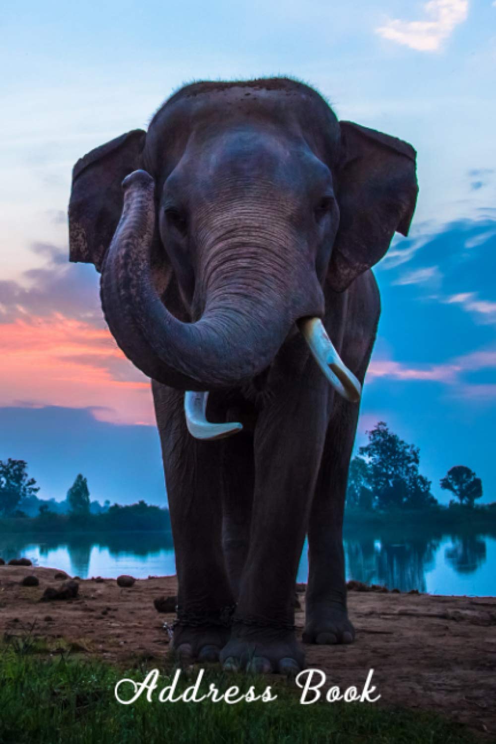 Address Book: with Tabs Elephant Cover for Senior, Record Contacts, Addresses, Email, Phone Number with Birthdays and Anniversaries
