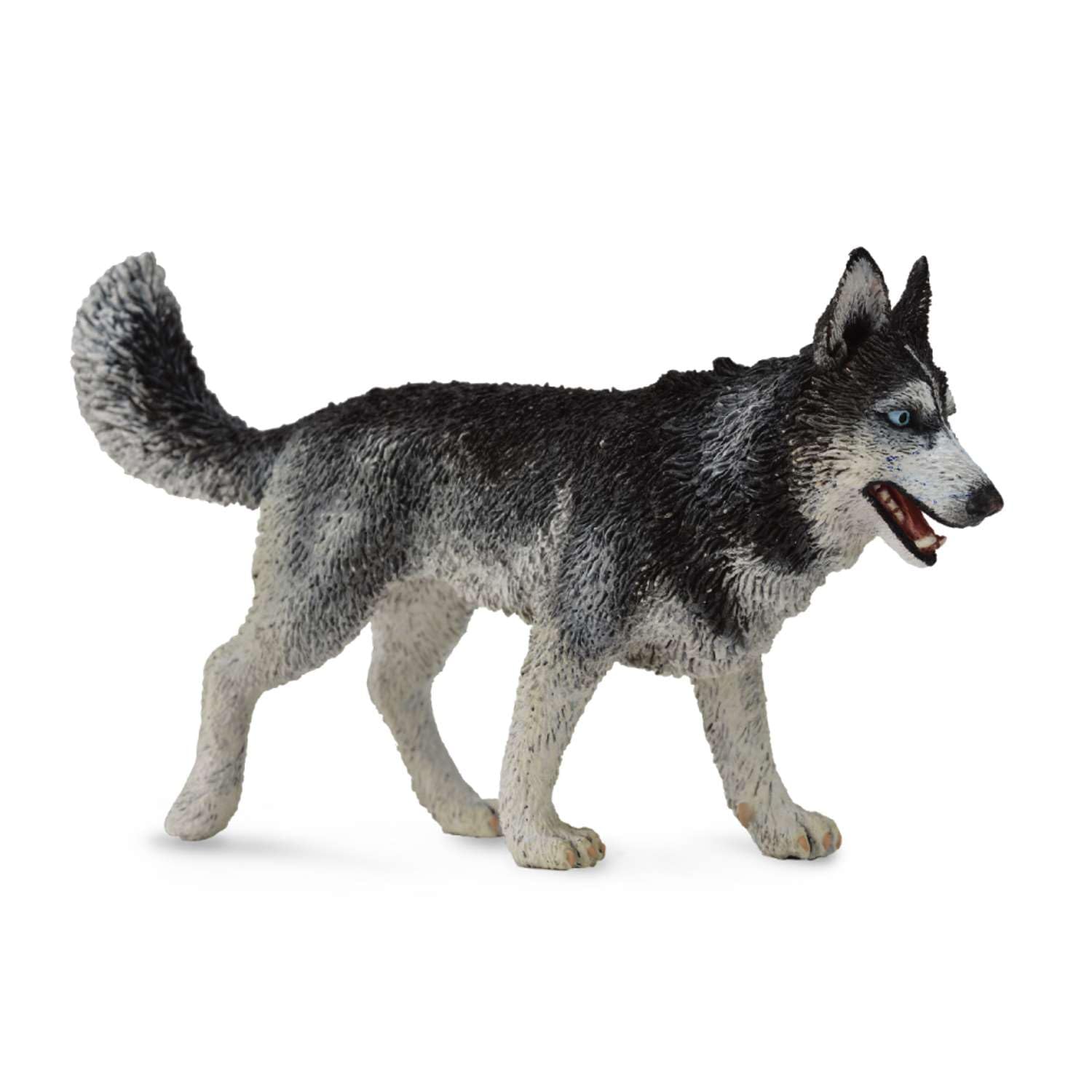 CollectA Siberian Husky