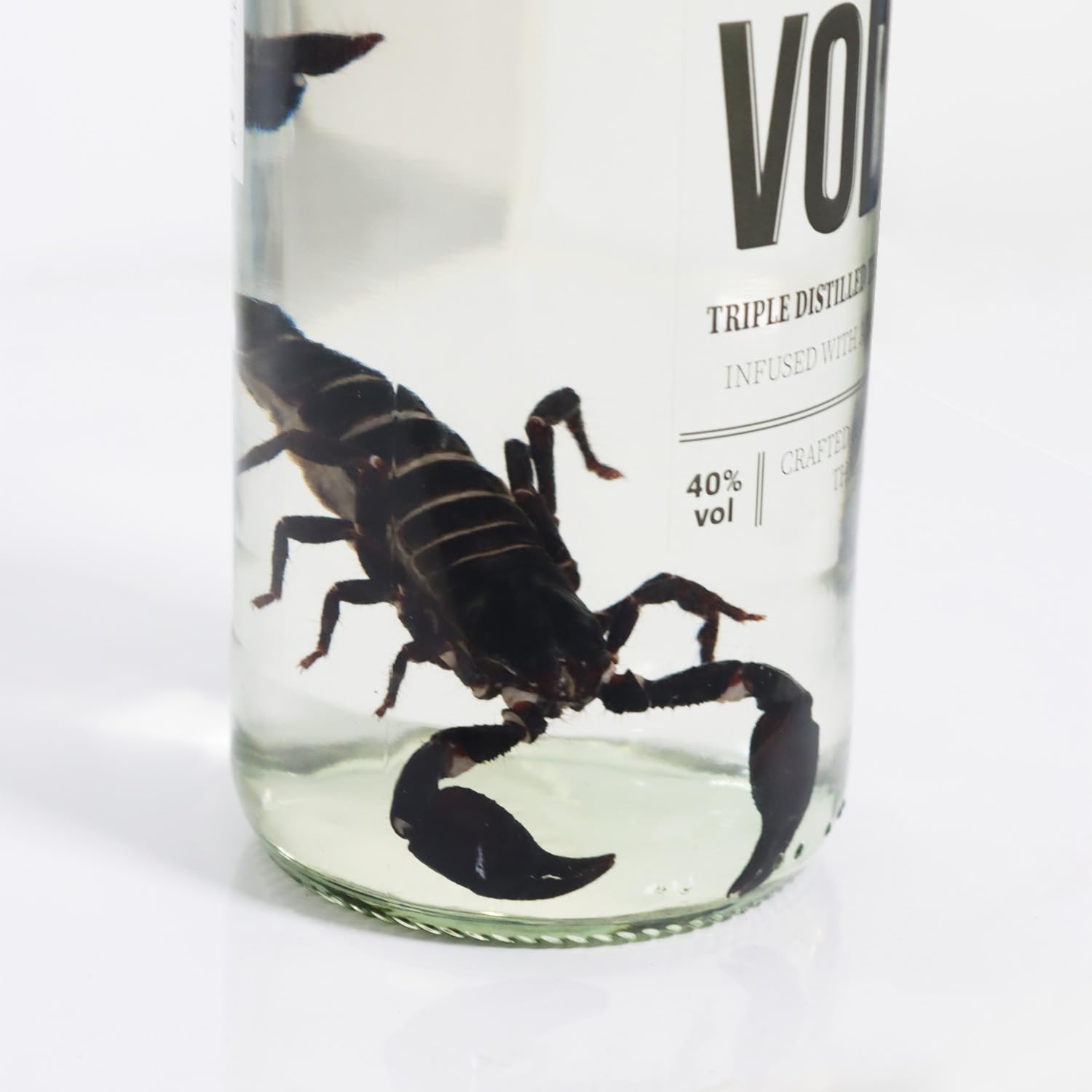 Amazon.co.jp: ブラックスコーピオン ウォッカ 700mL Alc.40 (BLACK